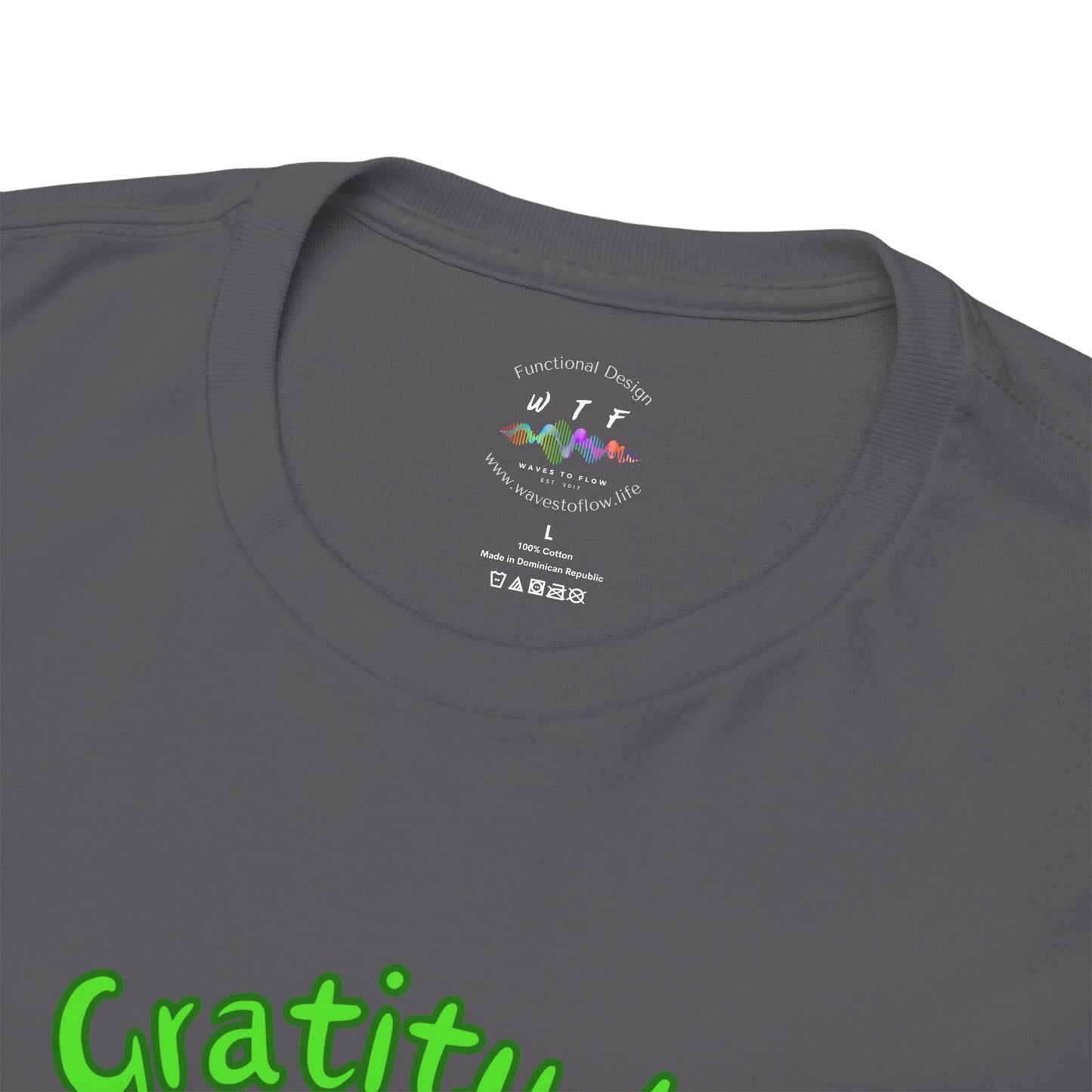 528 Hz Gratitude (W1) T-Shirt