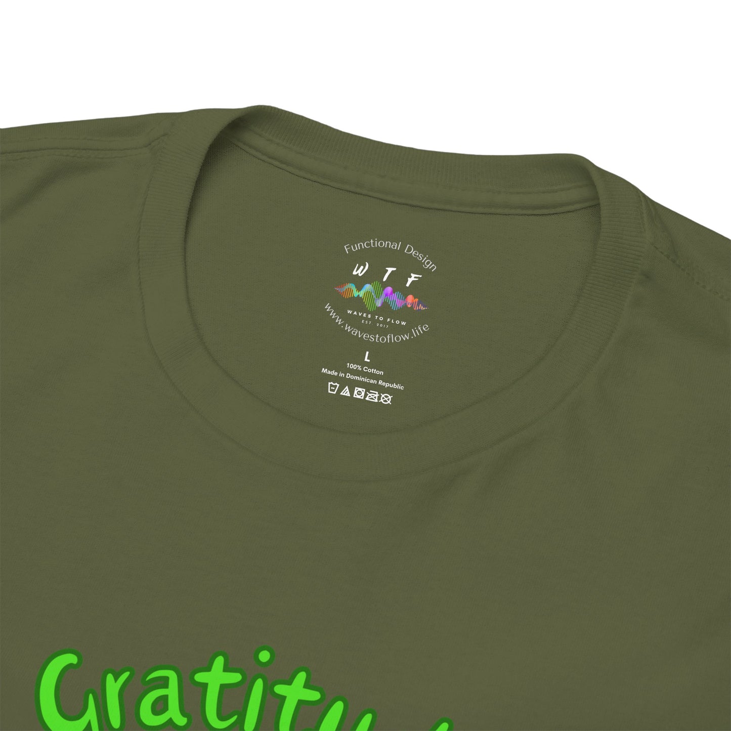 528 Hz Gratitude (W2) T-Shirt