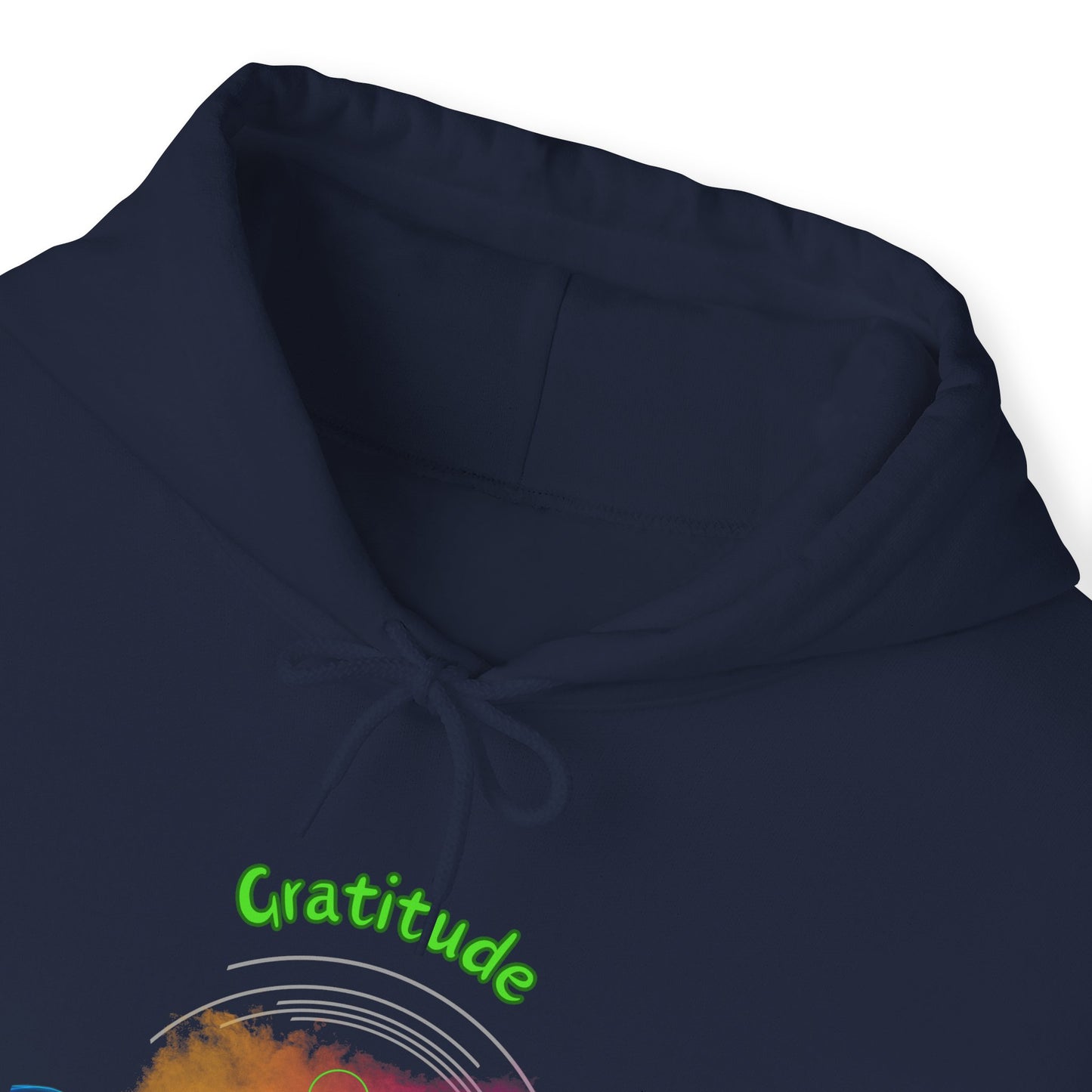 528 Hz Gratitude (W1) Hoodie