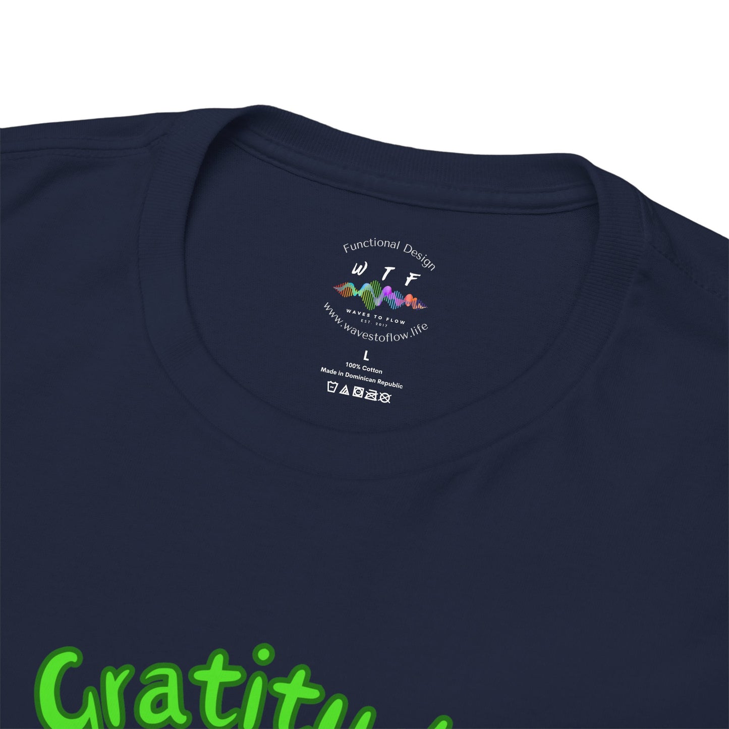 528 Hz Gratitude (W2) T-Shirt