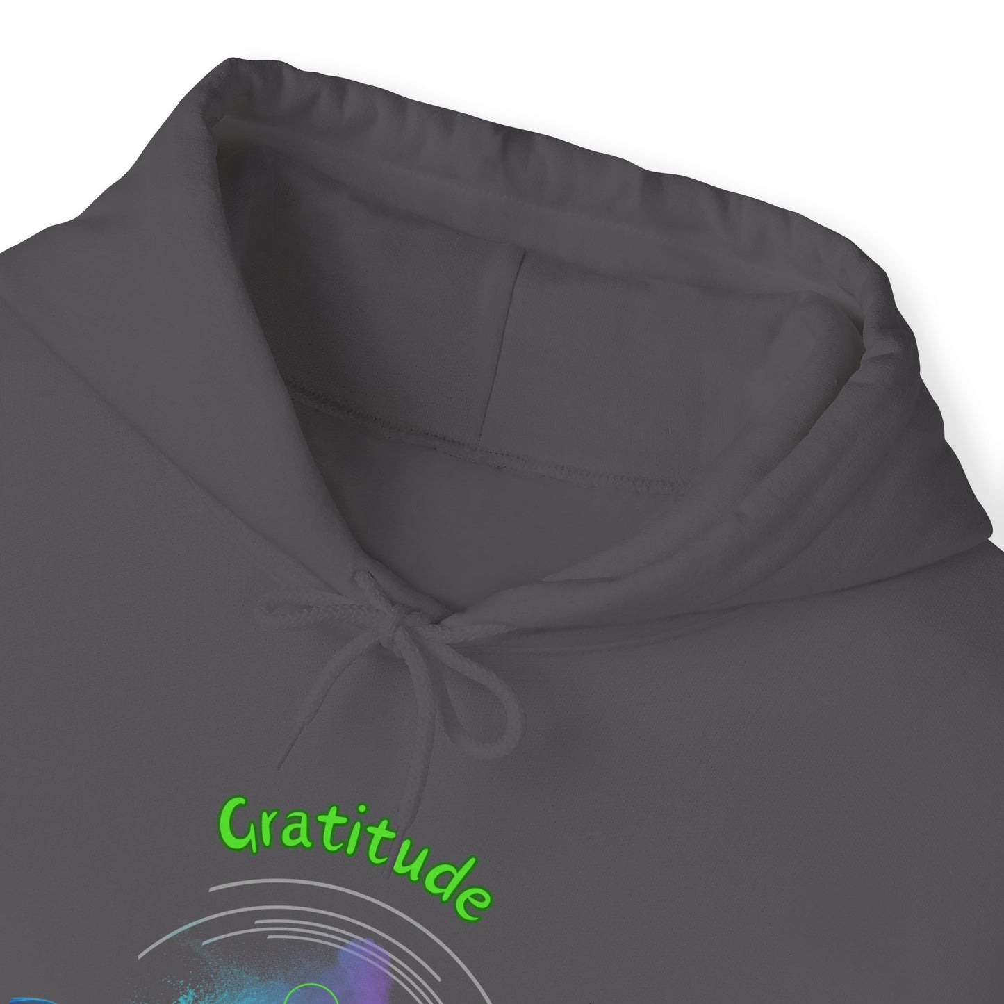 528 Hz Gratitude (W3) Hoodie