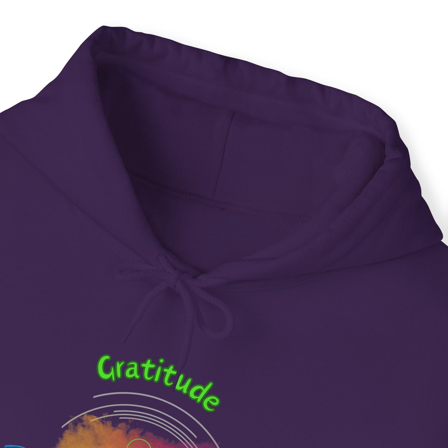 528 Hz Gratitude (W1) Hoodie