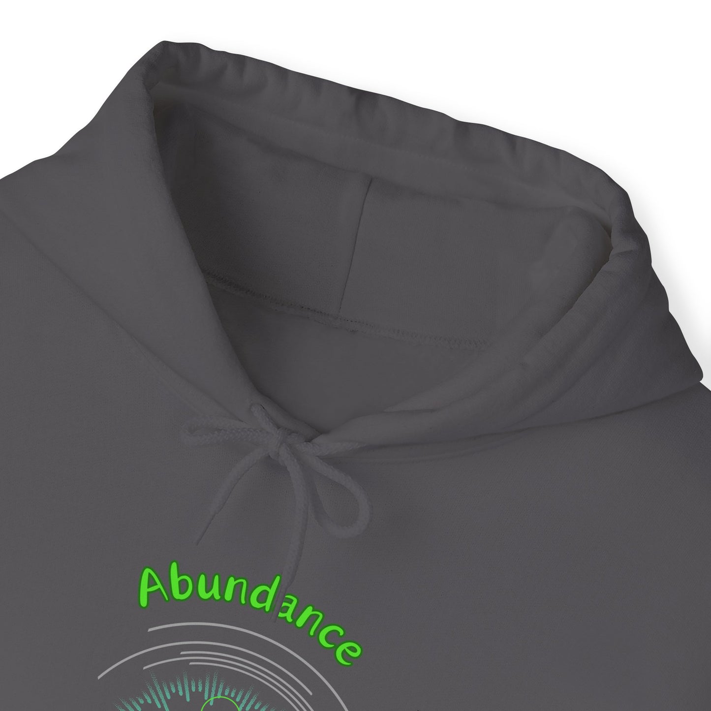 528 Hz Abundance (O1) Hoodie