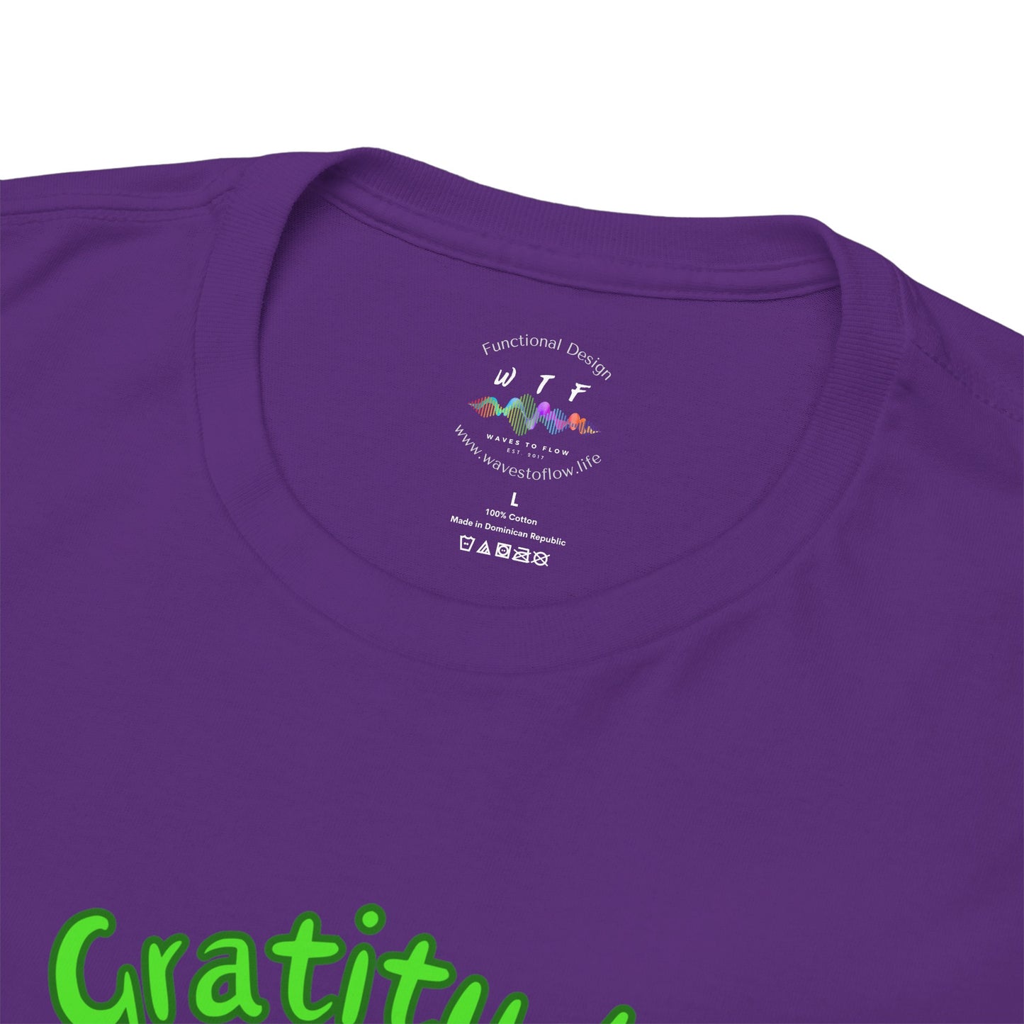 528 Hz Gratitude (W2) T-Shirt