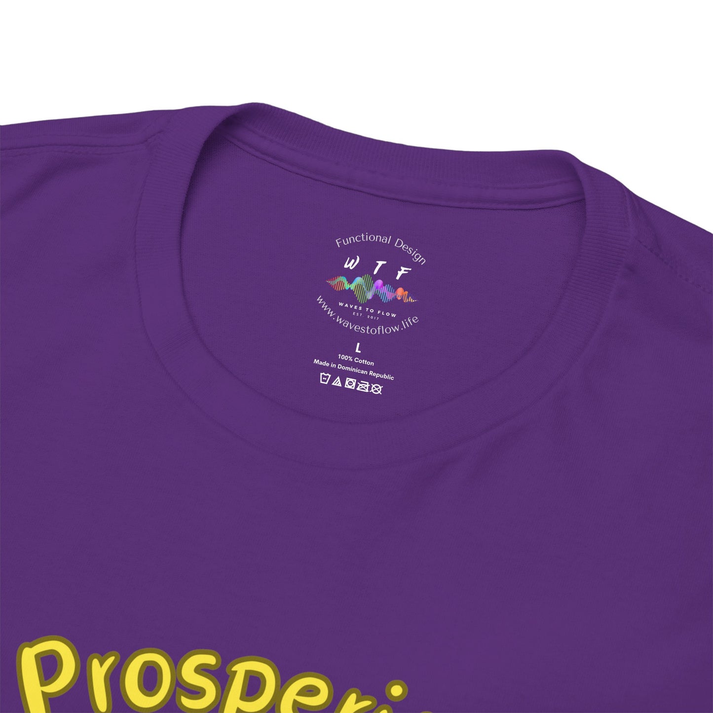 432 Hz Prosperity (F1) T-Shirt