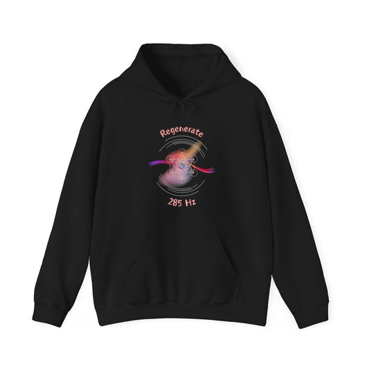 285 Hz Regenerate (W1) Hoodie