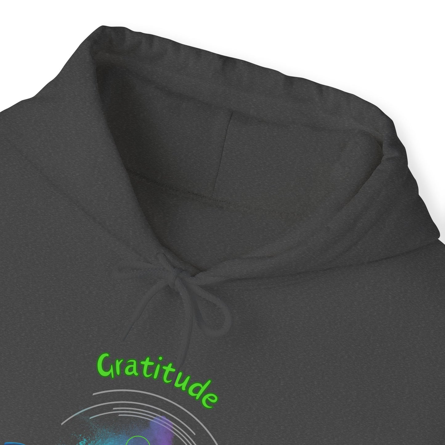 528 Hz Gratitude (W3) Hoodie