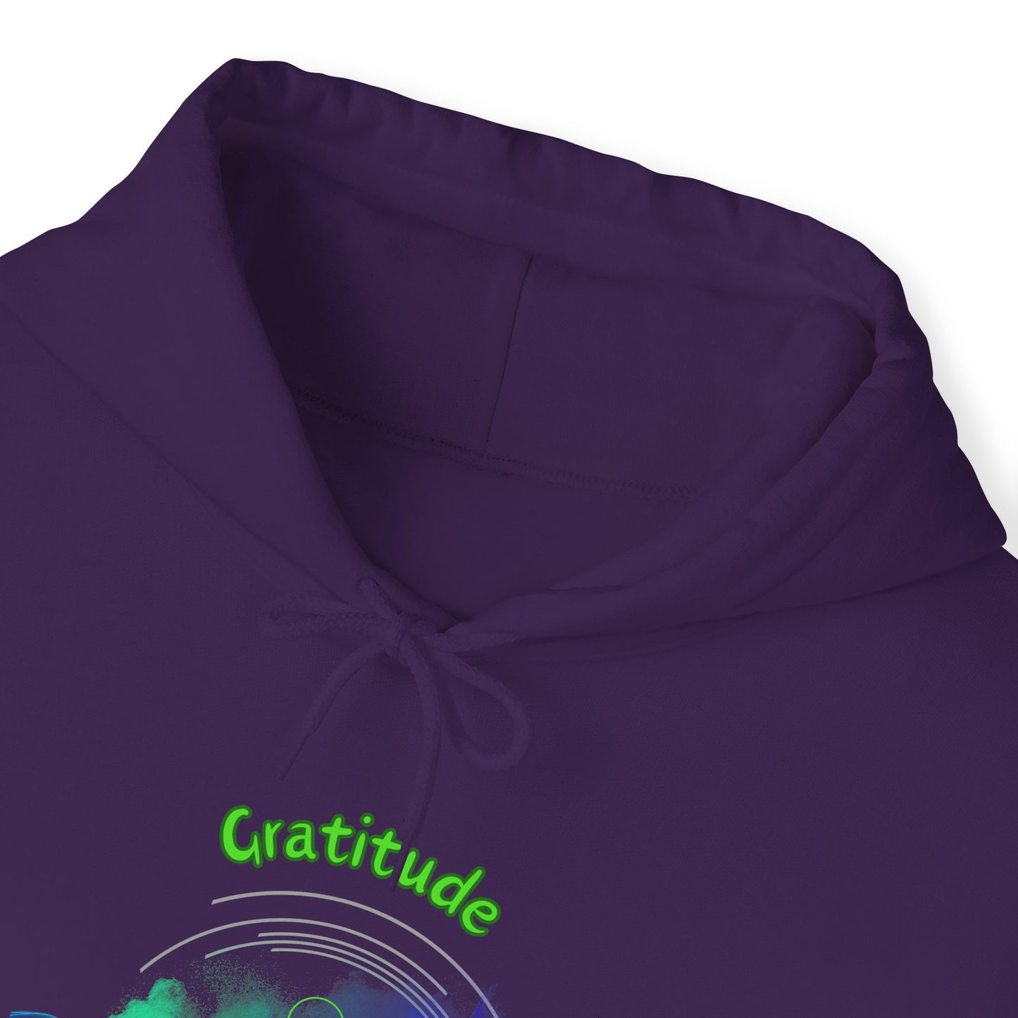 528 Hz Gratitude (W2) Hoodie