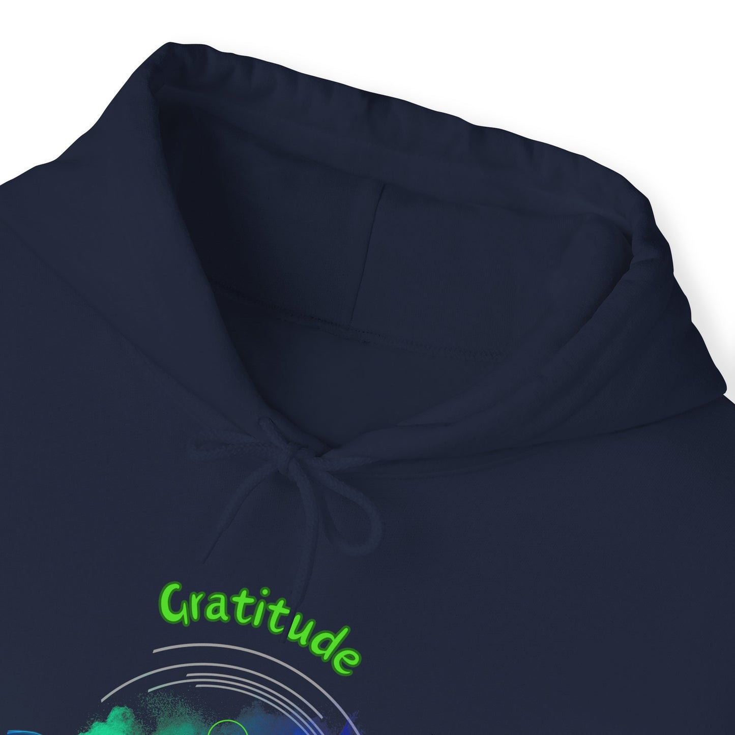 528 Hz Gratitude (W2) Hoodie