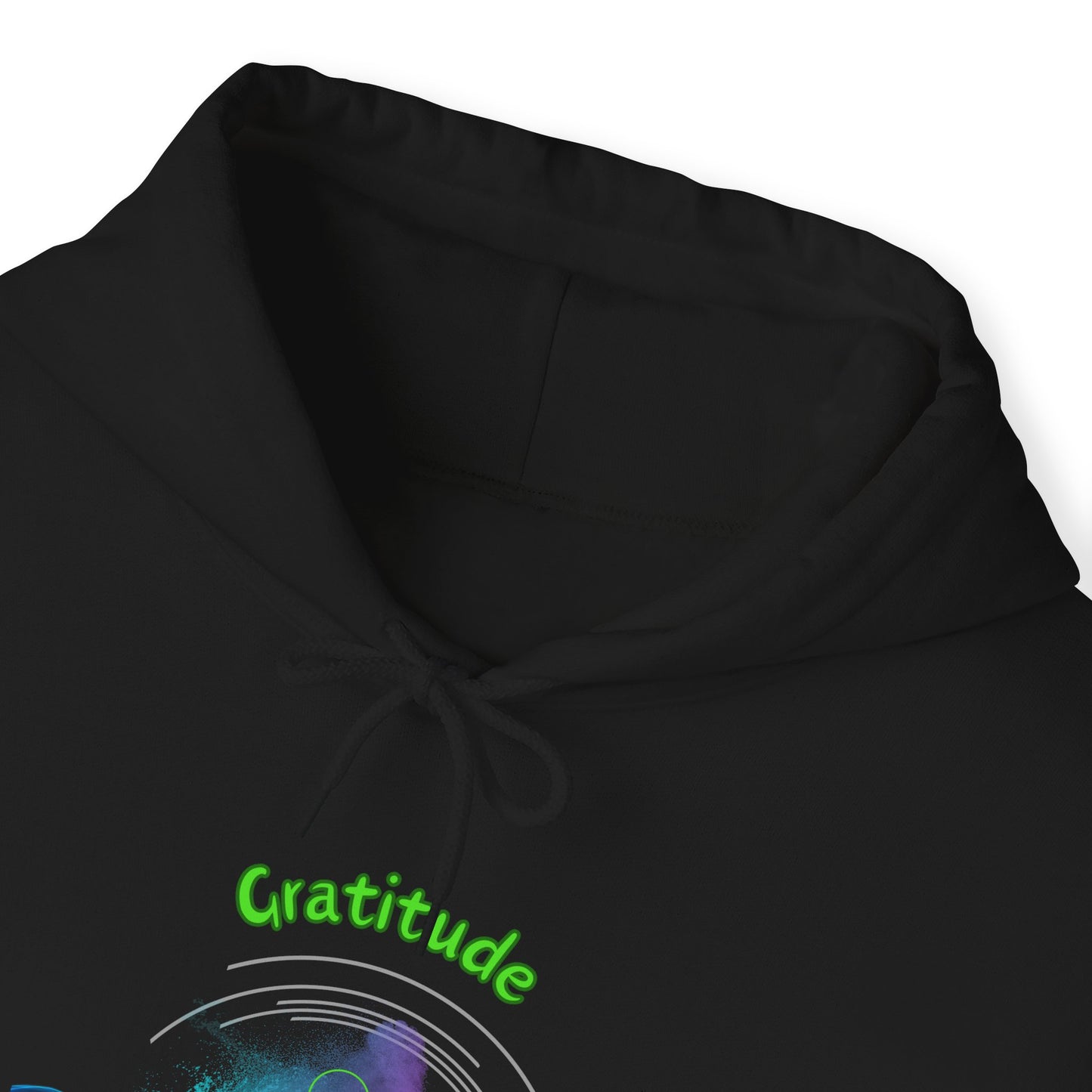 528 Hz Gratitude (W3) Hoodie