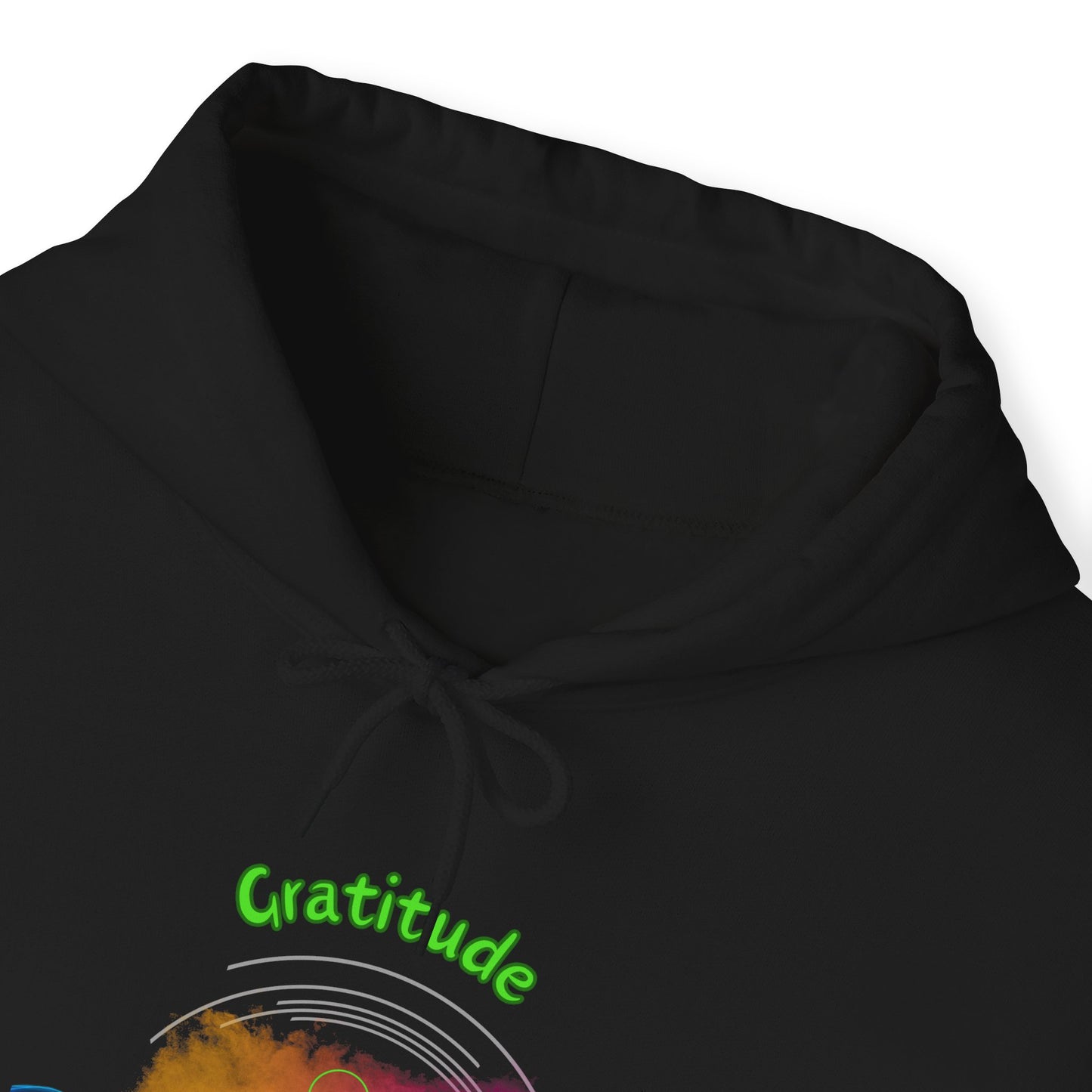 528 Hz Gratitude (W1) Hoodie