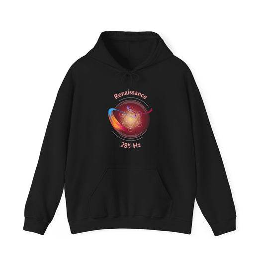 285 Hz Renaissance (W1) Hoodie