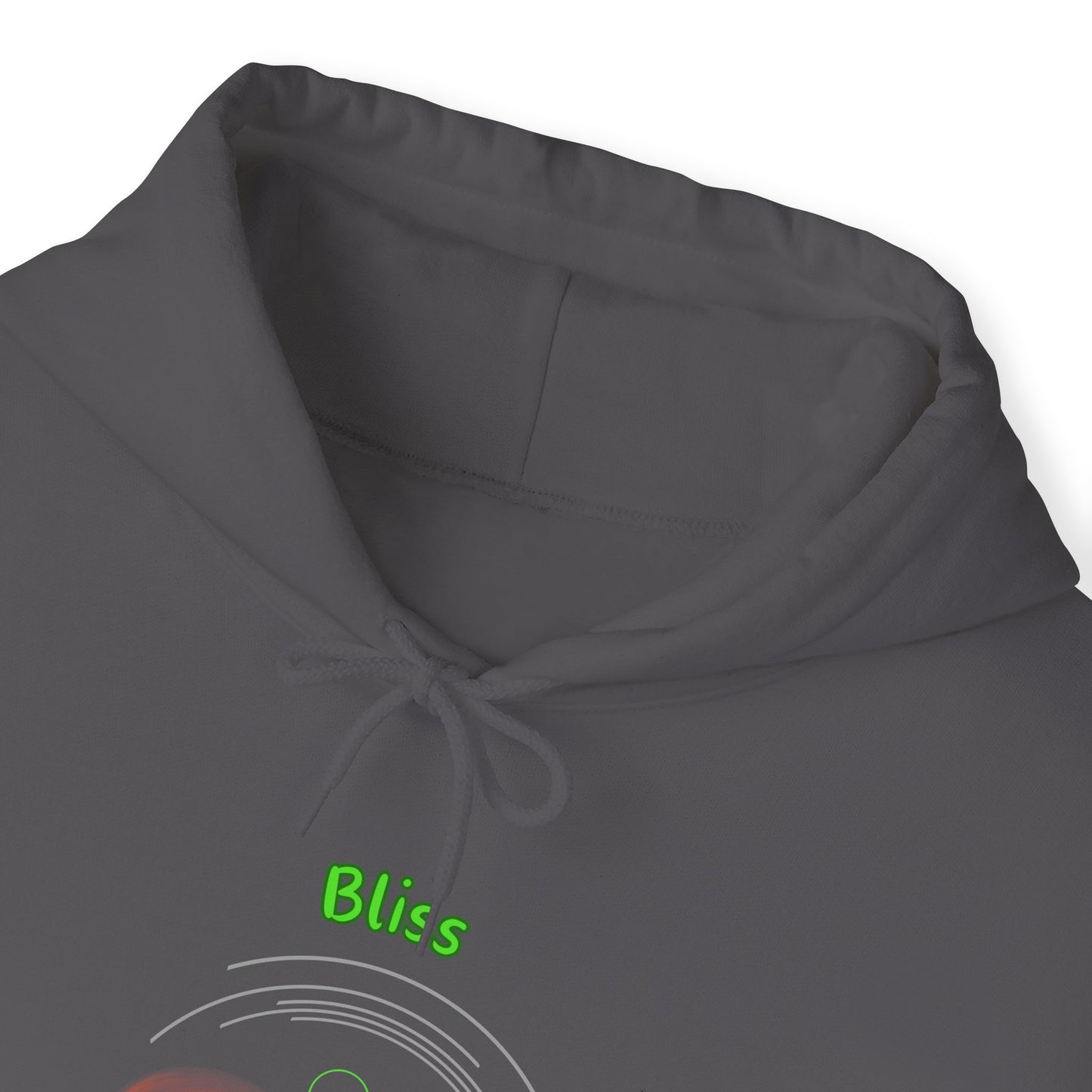 528 Hz Bliss (O1) Hoodie